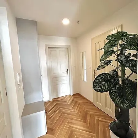 Newapt Next To Wenceslas Square * Prague