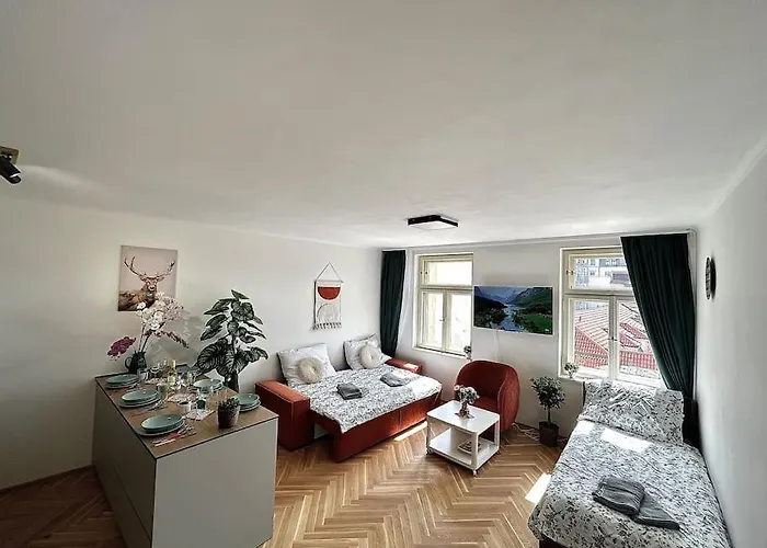 Newapt Next To Wenceslas Square Prága